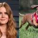 Illustration for article titled If Amy Adams cant win an Oscar playing people, shell get one playing a damn dog